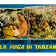 Johhny Weissmuller Tarzan poster