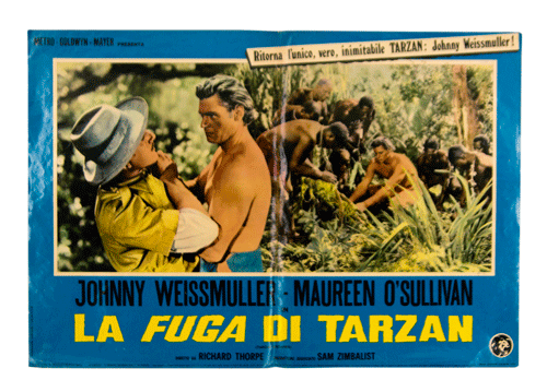 Johhny Weissmuller Tarzan poster