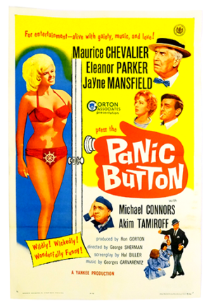 Panic Button poster