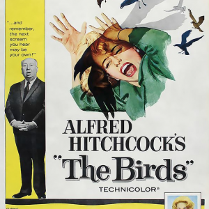 The Birds film poster