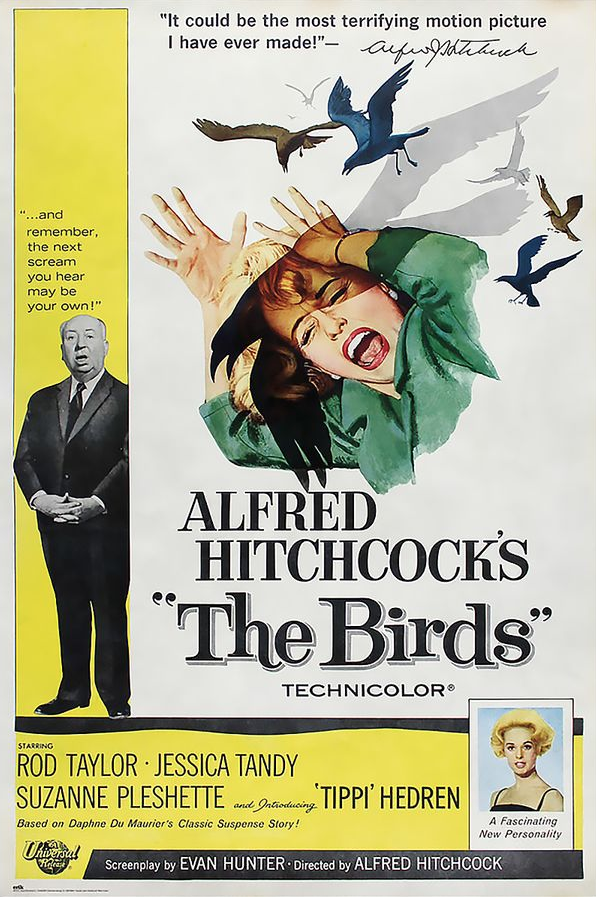 The Birds film poster