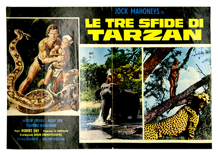 Tarzan's Three Challenges poster