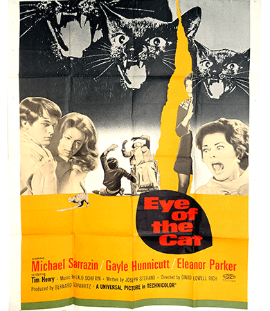 Eye of the Cat poster